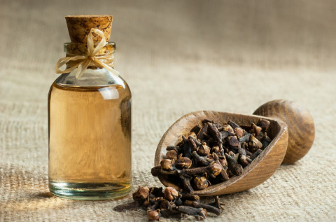 Balsam do ust z bio olejkiem goździkowym – nawilżenie, regeneracja i ochrona przed pękaniem oraz podrażnieniami skóry ust. Balsam do ust z bio olejkiem goździkowym – nawilżenie, regeneracja i ochrona przed pękaniem oraz podrażnieniami skóry ust.