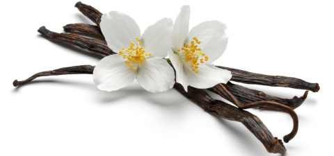 Laski wanilii – naturalne źródło słodkiego, otulającego aromatu, który nadaje kostce do mycia ciała przyjemny i zmysłowy zapach. Laski wanilii – naturalne źródło słodkiego, otulającego aromatu, który nadaje kostce do mycia ciała przyjemny i zmysłowy zapach.